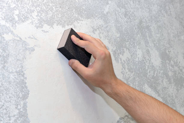 Lenape Heights, PA Mold Removal Company
