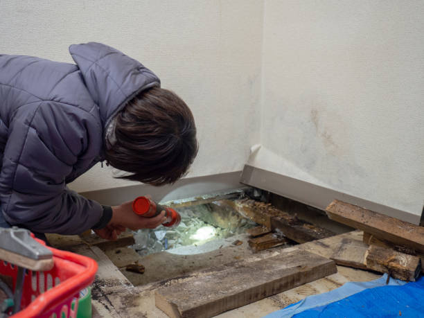 Mold Remediation for Vacation Homes in Lenape Heights, PA